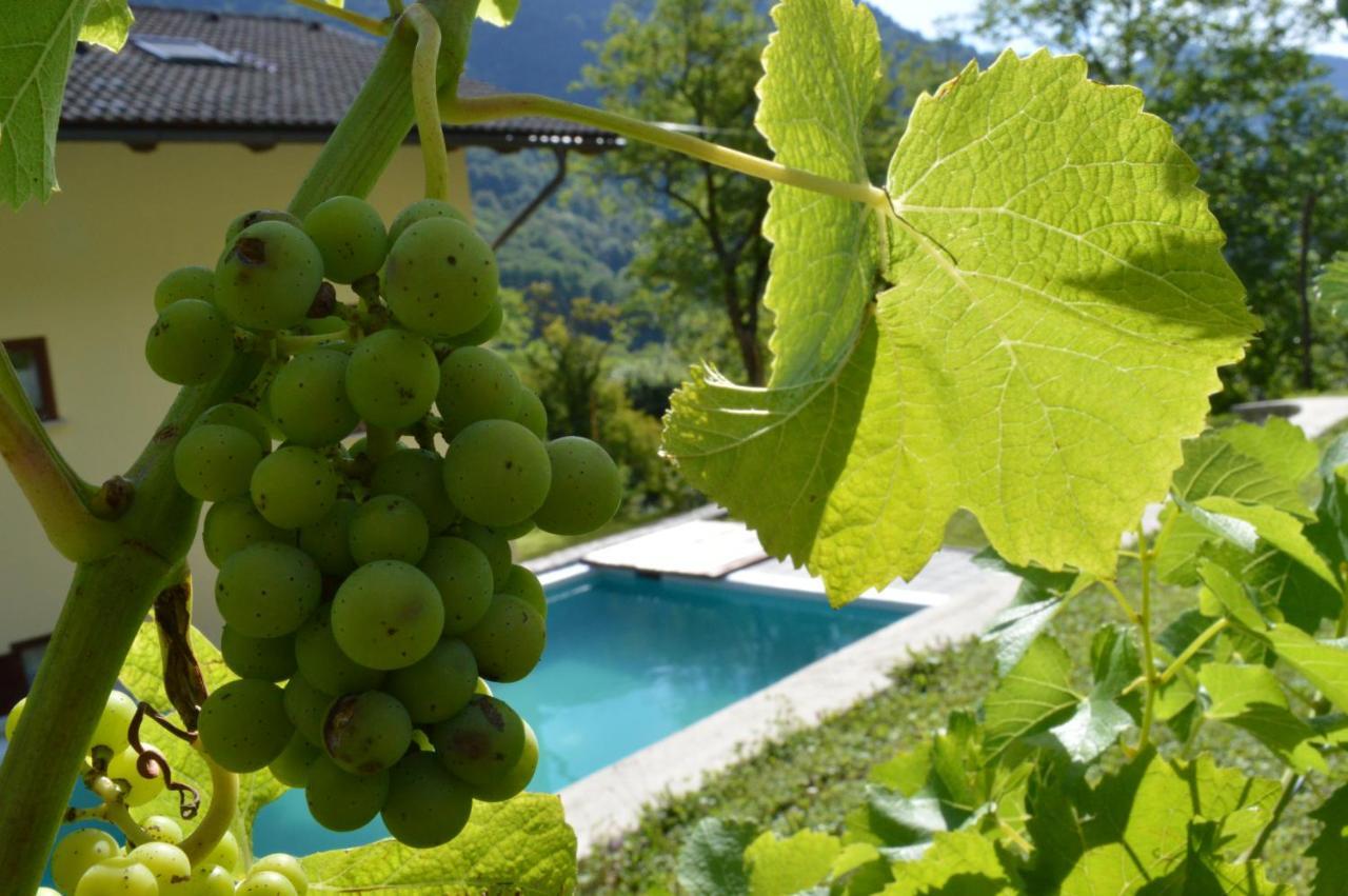 Holiday Home Jelovcerjeva Idrija pri Baci 외부 사진